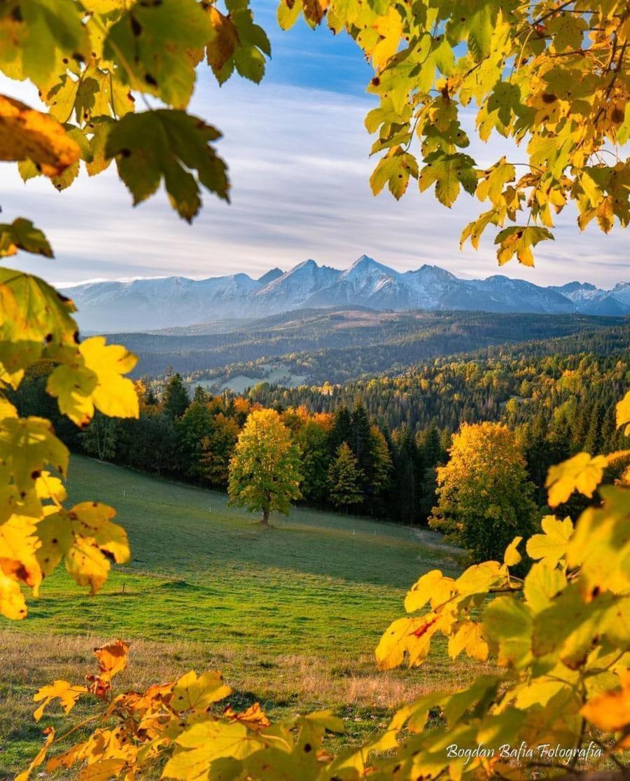 Viva Maria Apartamenty Zakopane Exterior photo