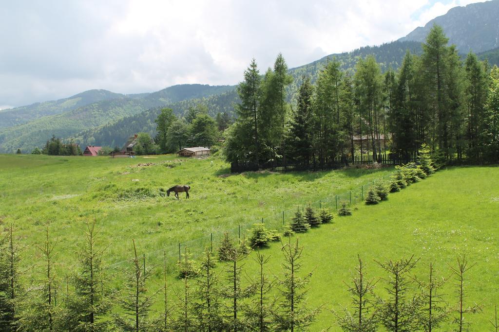 Viva Maria Apartamenty Zakopane Exterior photo